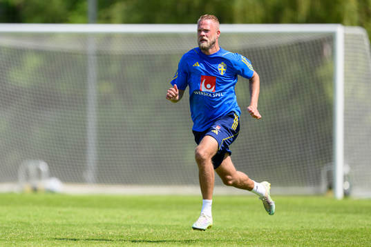Daniel Sundgren of the Swedish national football team