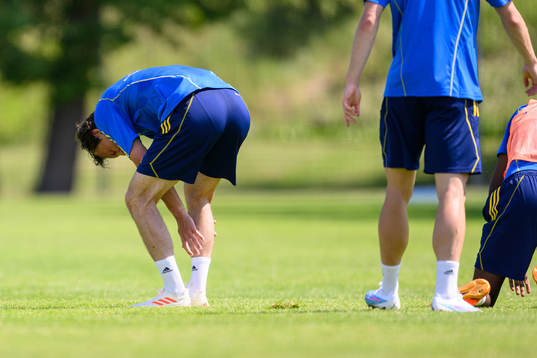 Hjalmar Ekdal in pain of the Swedish national football team