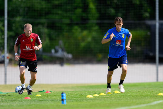 Albin Ekdal of the Swedish national football team