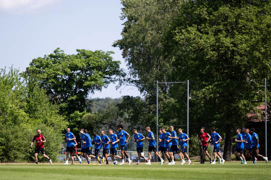 Players of the Swedish national football team
