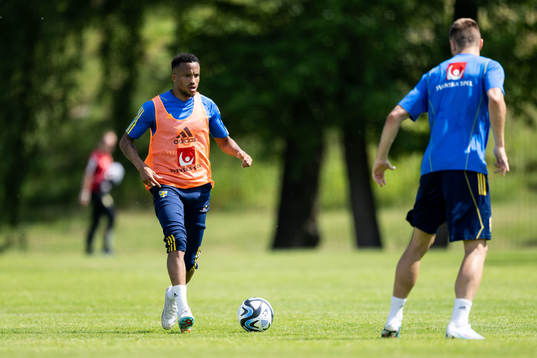 Martin Olsson of the Swedish national football team
