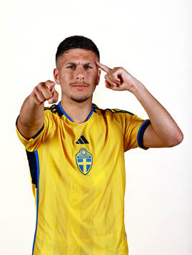 Ronny Bardghji