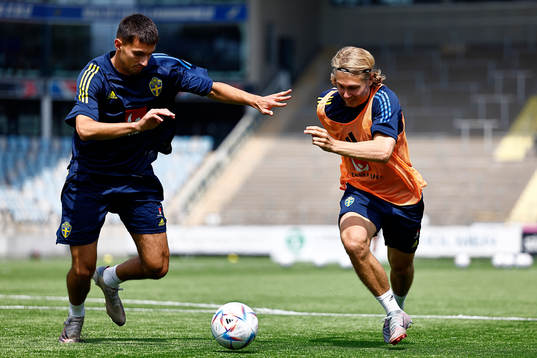 Emin Hasic and Sebastian Nanasi