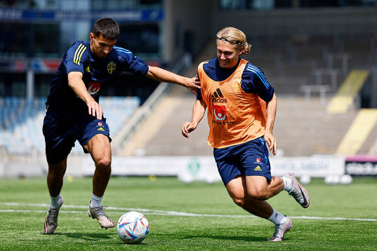 Emin Hasic and Sebastian Nanasi