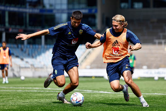 Emin Hasic and Sebastian Nanasi