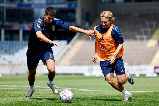 Emin Hasic and Sebastian Nanasi