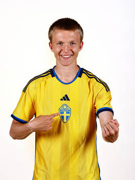 Tom Strannegård