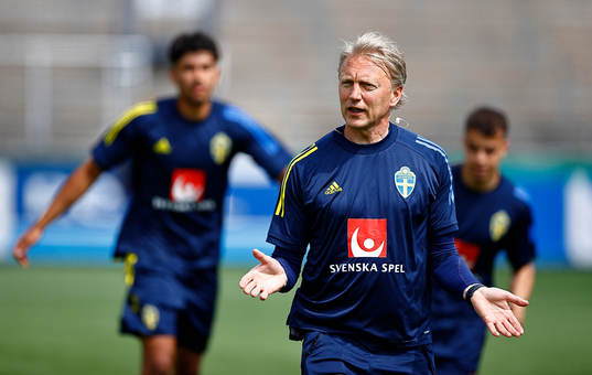 Physical trainer Niklas Egnell