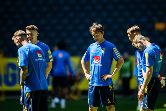 Hjalmar Ekdal of the Swedish national football team
