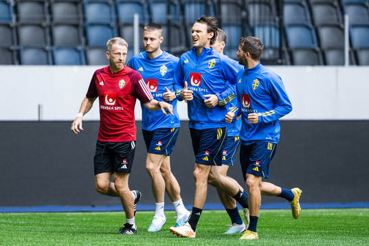 Albin Ekdal of the Swedish national football team