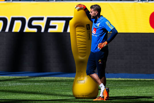 Goalkeeper Kristoffer Nordfeldt of the Swedish national