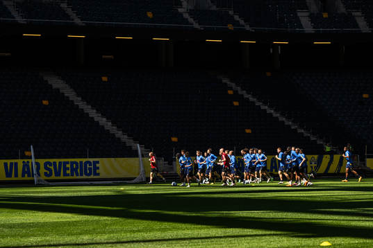 Players of the Swedish national football team
