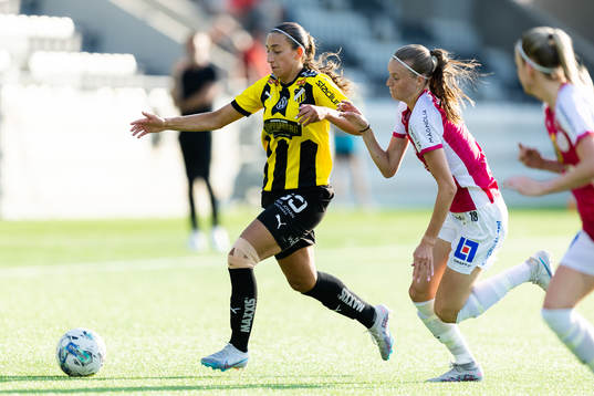 Häckens Rusul Rosa Kafaji