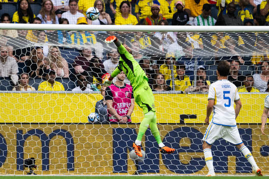 Goalkeeper Kristoffer Nordfeldt of Sweden