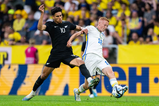 Marko Stamenic of New Zealand and Hugo Larsson of Sweden