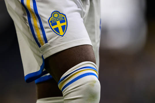 Detail of the Swedish emblem