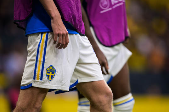 Detail of the Swedish emblem