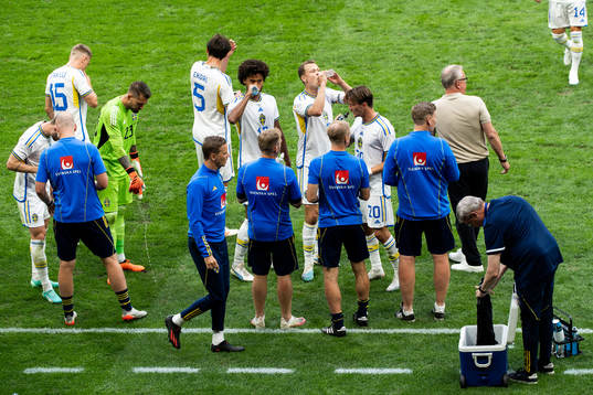 Players of of Sweden
