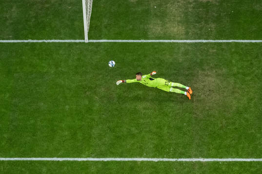 goalkeeper Kristoffer Nordfeldt of Sweden