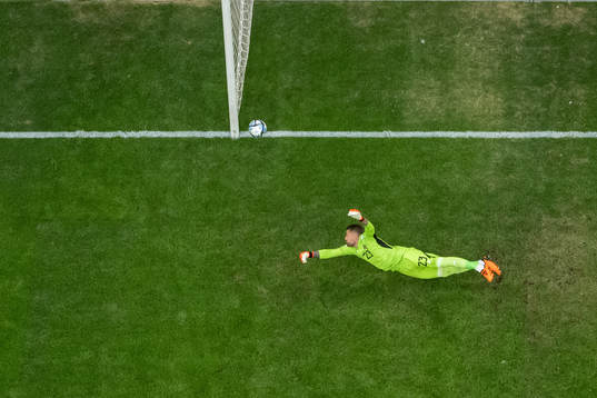 goalkeeper Kristoffer Nordfeldt of Sweden