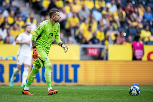 goalkeeper Kristoffer Nordfeldt of Sweden