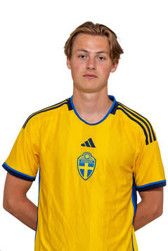 Hjalmar Åberg