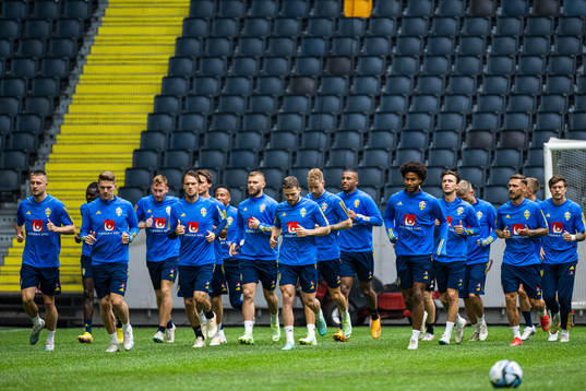 Players of the Swedish national football team