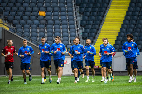 Players of the Swedish national football team