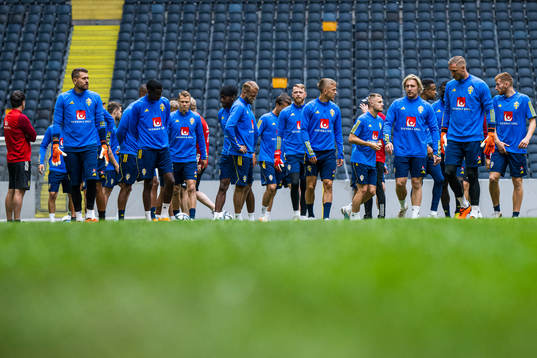 Players of the Swedish national football team