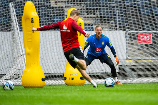 Goalkeeper Robin Olsen of the Swedish national football team
