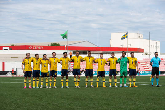 Players of Sweden