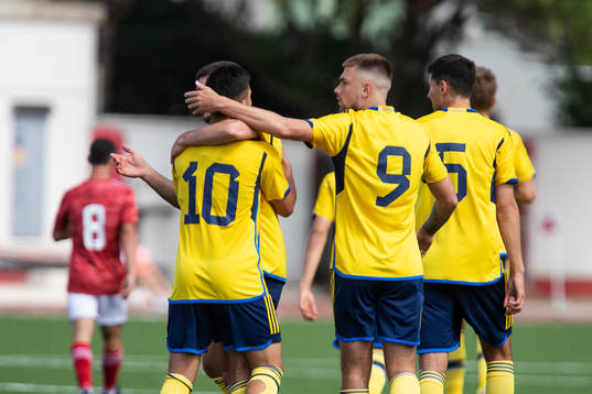Roony Bardghji and Tim Prica of Sweden celebrate
