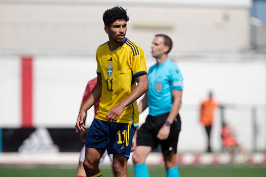 Ahmed Qasem of Sweden