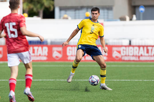 Emin Hasic of Sweden