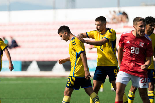 Roony Bardghji and Tim Prica of Sweden