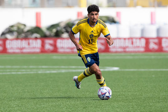 Ahmed Qasem of Sweden