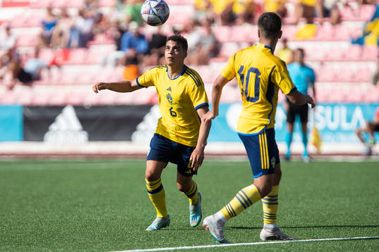 Yasin Ayari and Roony Bardghji of Sweden