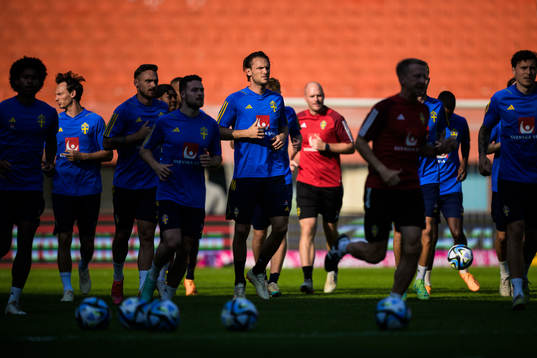 Albin Ekdal of the Swedish national football team at a