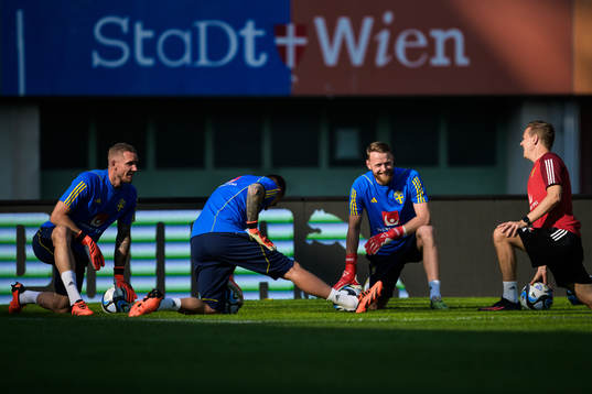 Goalkeepers Robin Olsen, Kristoffer Nordfeldt, Viktor