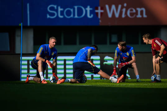 Goalkeepers Robin Olsen, Kristoffer Nordfeldt, Viktor