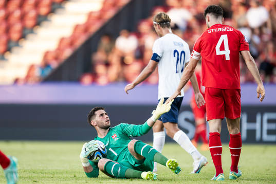 Goalkeeper Amir Saipi and Leonidas Stergiou of Switzerland