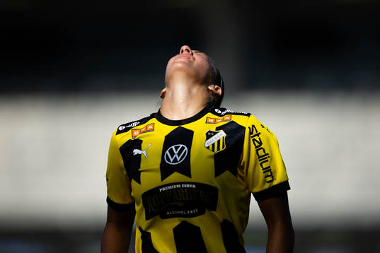 Häckens Rusul Rosa Kafaji deooar
