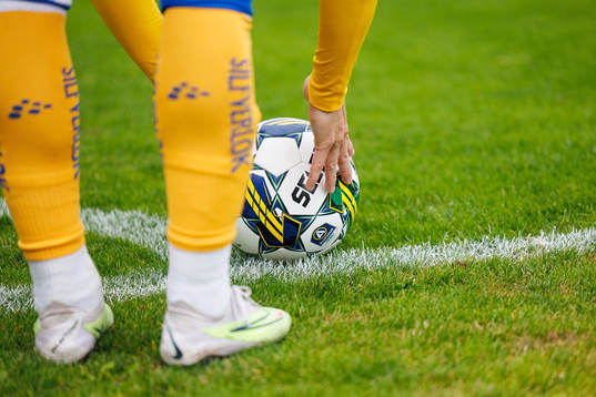 En fotboll