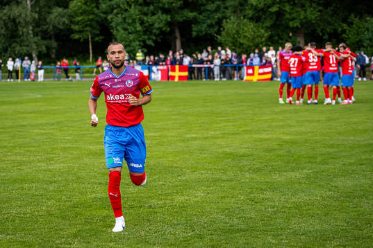 Helsingborgs Sumar Almadjed