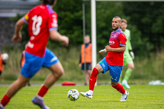 Helsingborgs Sumar Almadjed