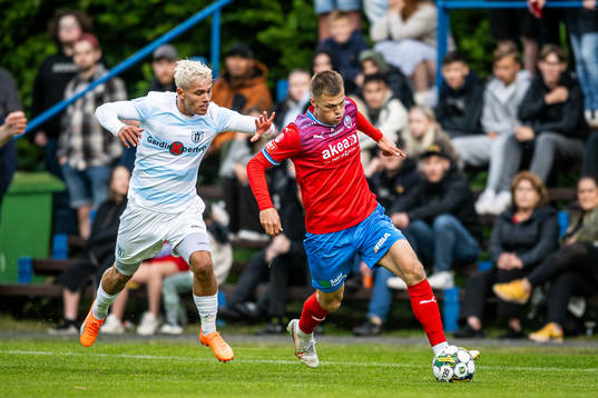 Helsingborgs Erik Ring