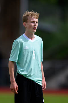 Elmer Bergqvist