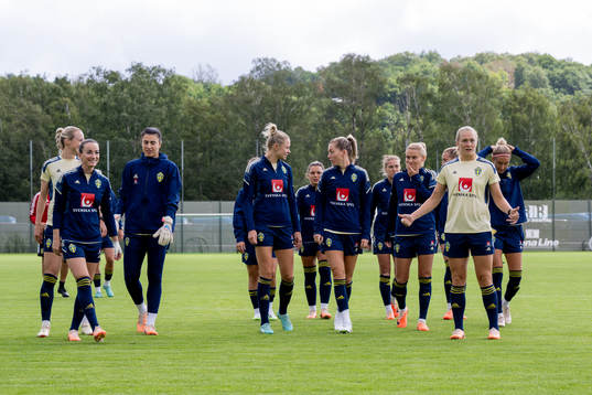 The Swedish national football team is gathered