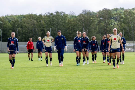 The Swedish national football team is gathered