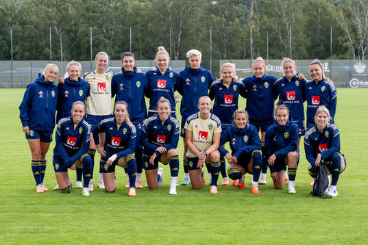 The Swedish national football team is gathered
